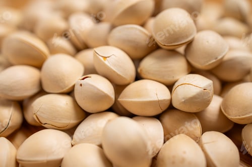 Preview: Pile of ginkgo seed nut close up