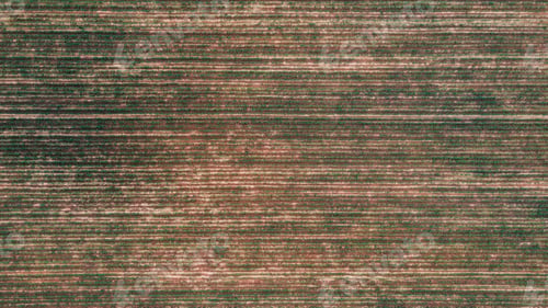 Preview: Aerial view of crop fields on a sunny day, featuring green and brown patches.