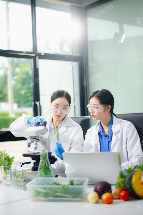 Preview: Asian food scientists test vegetables in biotech lab using microscope and laptop. Nutrition, safety,