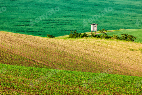 Preview: Moravian rolling landscape with hunting tower shack