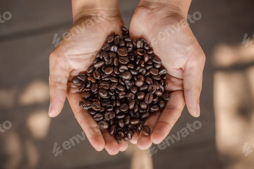 Preview: Coffee beans in hands