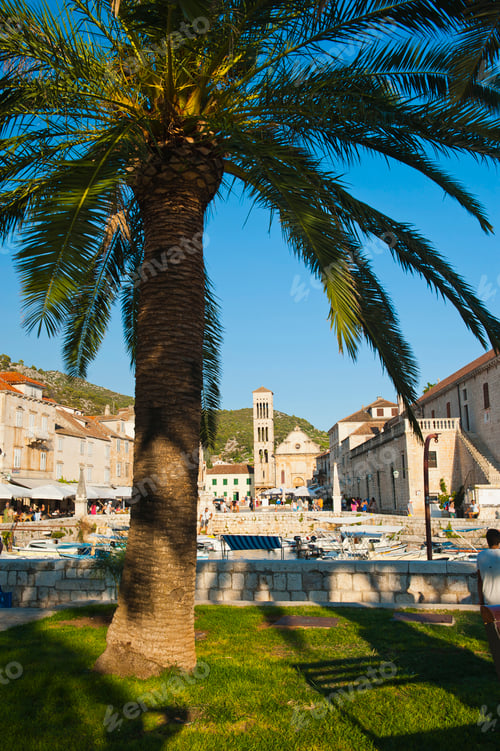 Preview: Photo of St Stephens Cathedral in St Stephens Square, Hvar Town centre, Hvar Island, Dalmatia, Croat