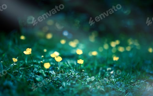 Preview: Small yellow celandine flowers on a green background of foliage side view .