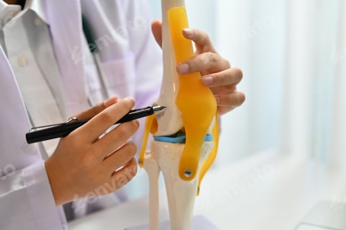 Preview: Female doctor, orthopedists showing knee joint model during online consultation.