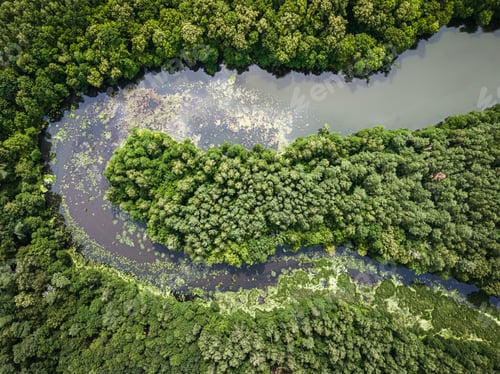 Preview: Curvy river and forests. Aerial view of wildlife in Poland