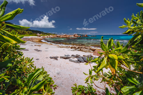 Preview: Tropical beach at La Digue island, Seychelles. Lush green vegetation on white sand paradise beach