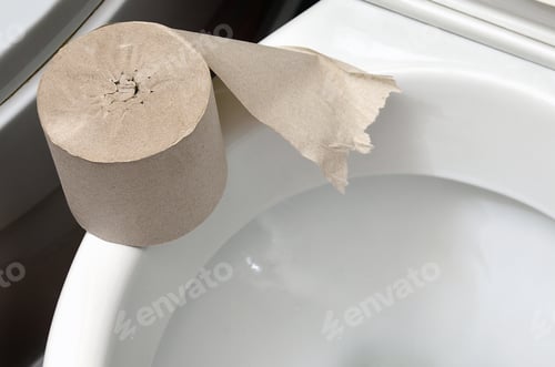 Preview: A roll of gray toilet paper lies on a white ceramic toilet in the bathroom
