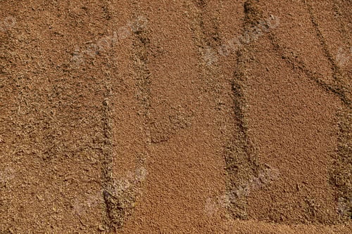 Preview: Uncleaned unsorted grain with debris after being harvested by a combine.