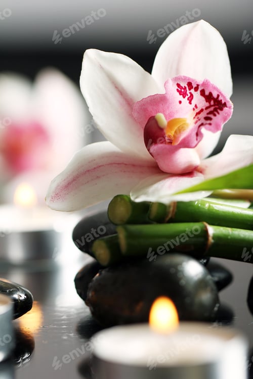 Preview: Spa and wellness