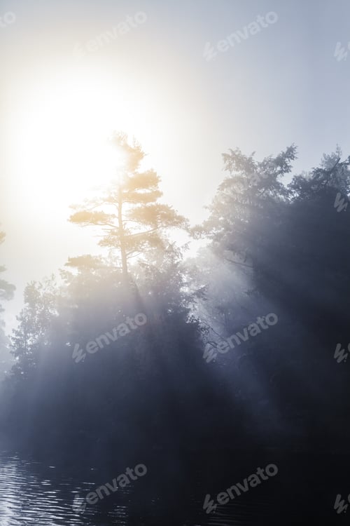 Preview: Calm Foggy Lake in the Morning