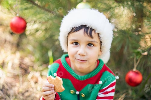 Preview: Little boy in sweater and hat waiting for a Christmas in the wood