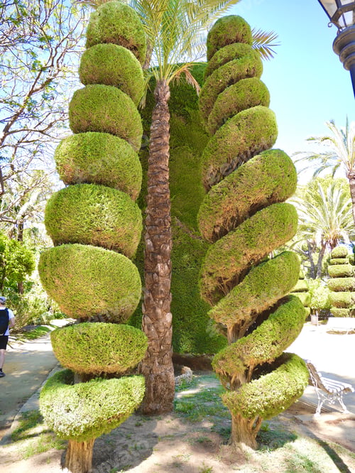 Preview: Exotic trees