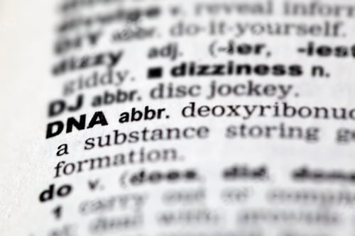 Preview: Dictionary details