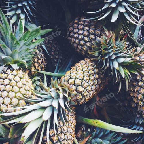 Preview: Pineapple tropical background