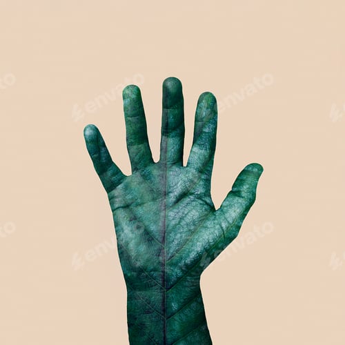 Preview: Human hand in leather with a green leaf of a tree on a beige background