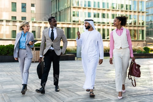 Preview: Group of multiethnic business people meeting an emirati businessman