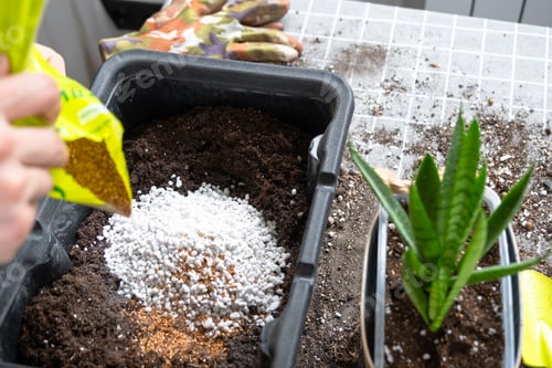 Preview: Ingredients for the soil of home potted plants, peat, earth, sand, perlite, vermiculite, coconut. A