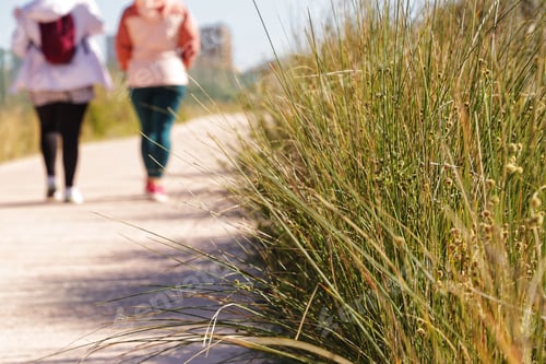 Preview: A closeup shot of grass near the side walk with people walking