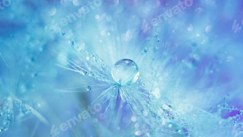 Preview: dandelion at blue background. Freedom to Wish. Seed macro closeup. Goodbye Summer