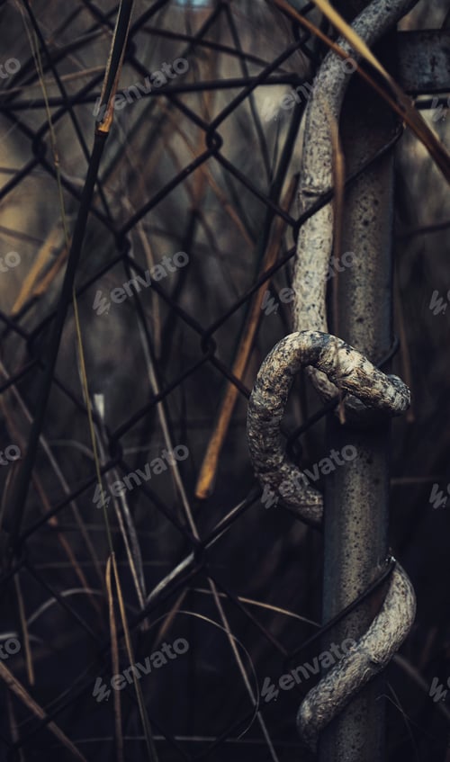 Preview: Moody nature background of a fence covering by nature