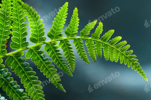 Preview: Closeup of green leaf background.
