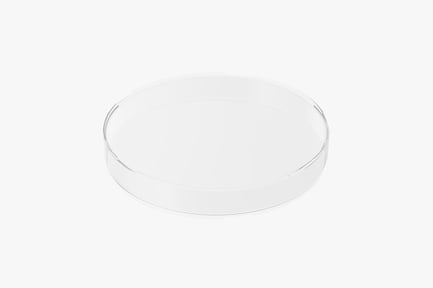 Preview: Transparent Plastic Petri Dish for Culturing