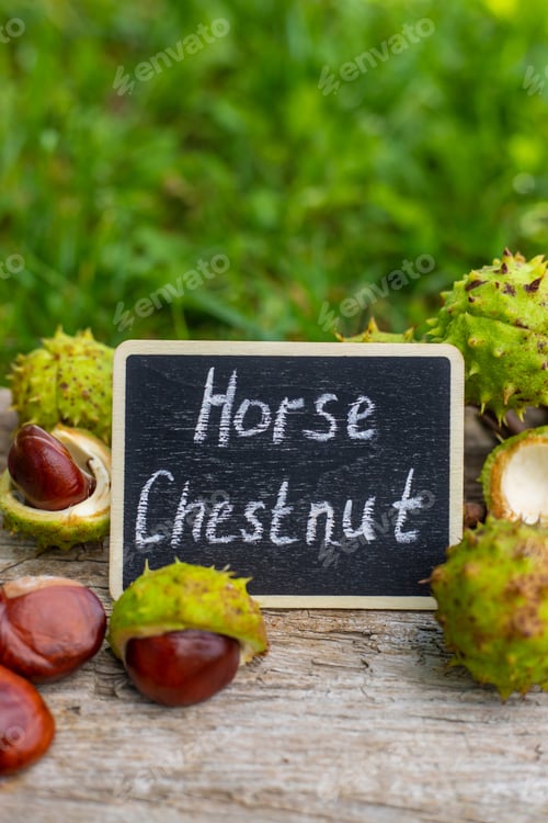 Preview: Horse chestnut tincture and supplements. Selective focus.