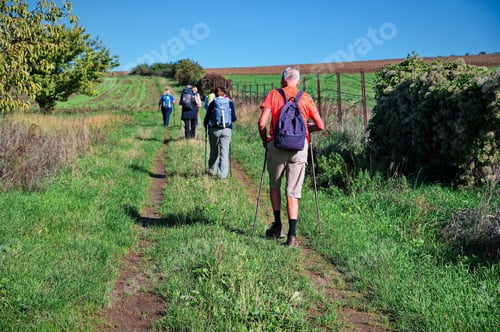 Preview: Group of senior hikers passing through the vineyard