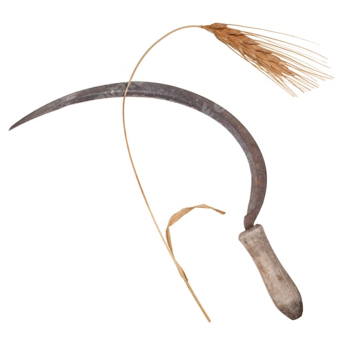 Preview: Ear of wheat with the sickle