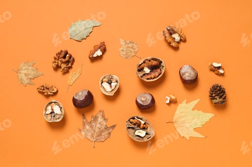 Preview: Concept of Autumn, Autumn composition accessories on orange background