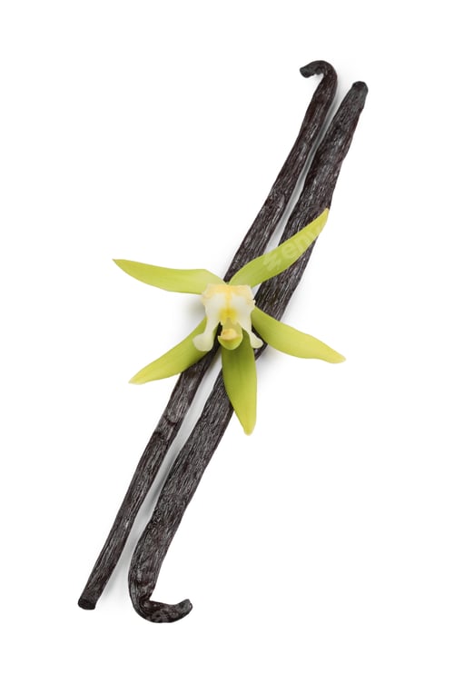 Preview: Vanilla pods and beautiful flower isolated on white