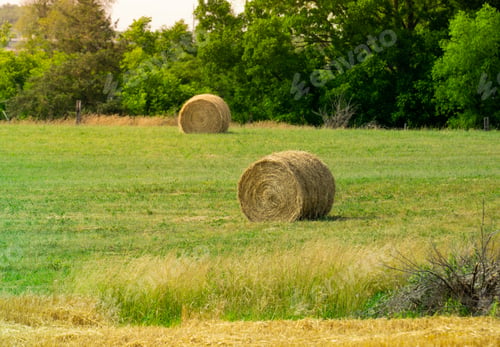 Preview: Bales of hay in a field