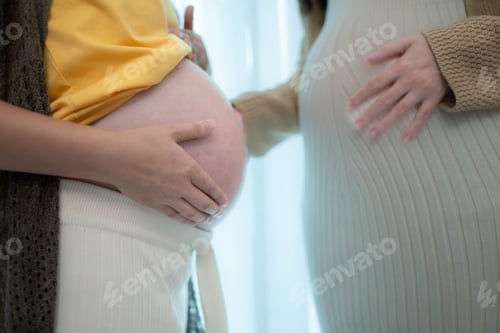 Preview: Both of young expecting mother holding baby in pregnant belly.