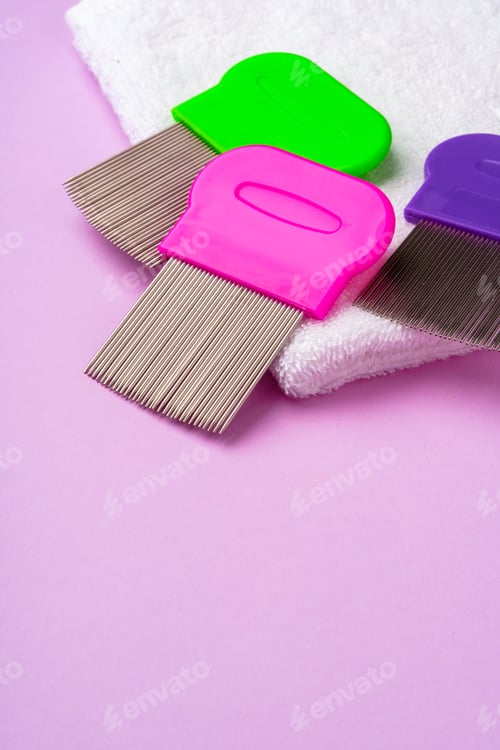 Preview: Three combs for removing lice and nits on lilac background