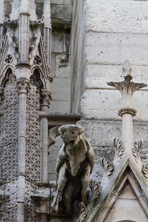 Preview: Gargoyle on Notre Dame Cathedral