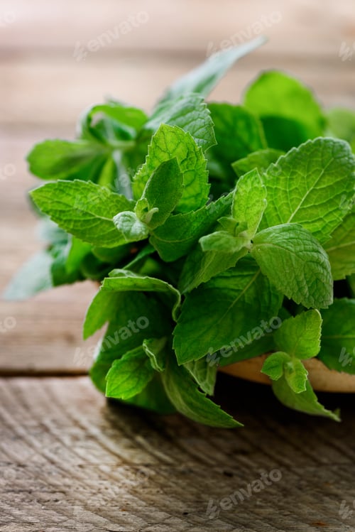 Preview: Fresh mint leaves on wooden background with copyspace and sunlights