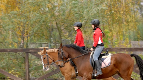 Preview: Two pretty girls riding horses at farm.
