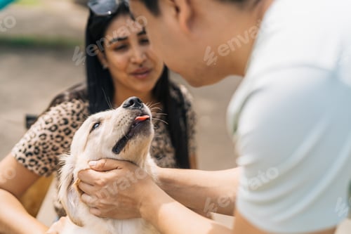 Preview: Man about to kiss a cute puppy dog outdoors