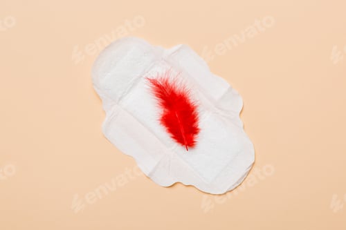 Preview: Women hygiene products or Sanitary pad with red feather on colored background