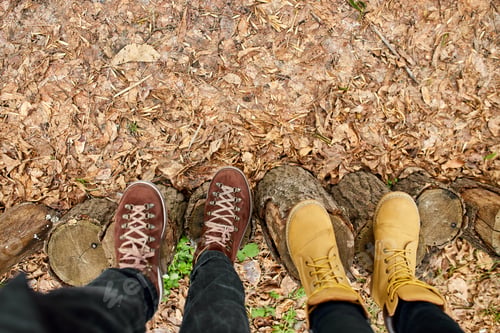 Preview: Modern young couple hiking boots on wooden stump on fallen autumn leaves in the forest