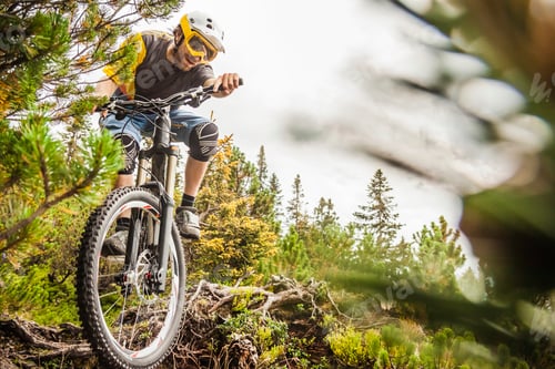 Preview: Mountain biker tackles forest trail with focus and determination
