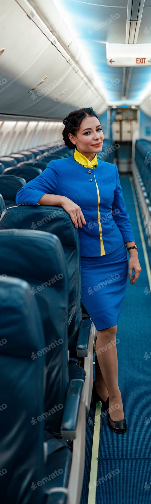 Preview: Female flight attendants standing in aircraft passenger cabin