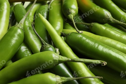 Preview: Ripe green chili peppers as background, closeup
