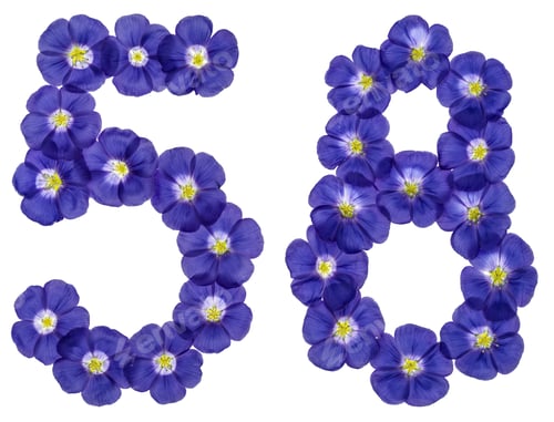 Preview: Arabic numeral 58, fifty eight, from blue flowers of flax, isolated on white background