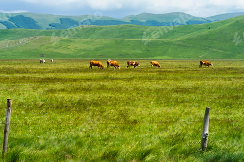 Preview: Piano Grande di Castelluccio, mountain and rural landscape