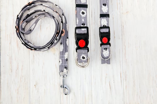 Preview: Dog Collar and Leash set. Pet Supplies and Walking Gear Collection