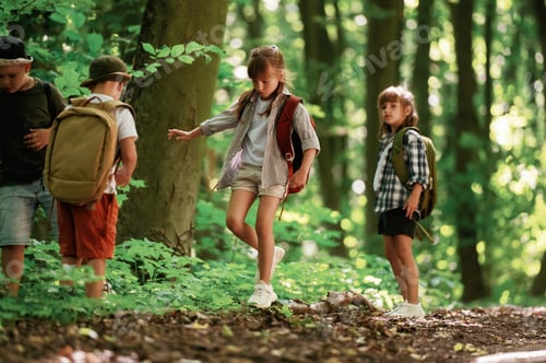 Preview: Going on the pathway. Kids in forest at summer daytime together