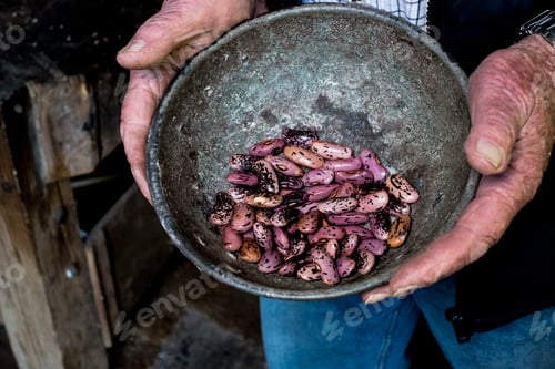 Preview: High angle close up of a pair of worn aged male human hands holding grey metal bowl with purple