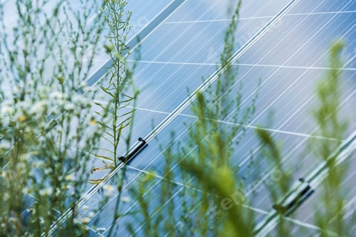 Preview: selective focus of blue solar energy batteries and flowers