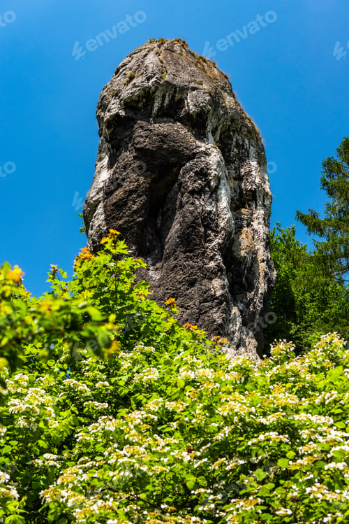 Preview: Hercules Mace, nature rock formation in Ojcowski National Park near Cracow, Poland